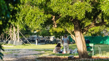 Shaded lawn spaces provide ideal locations for picnics.